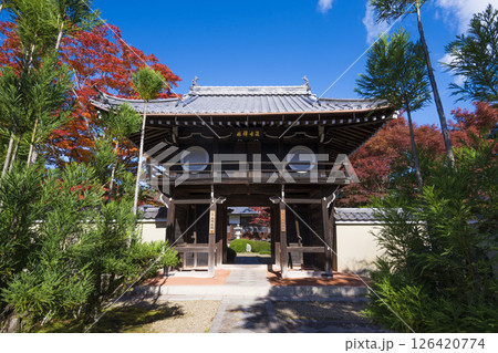 京都 源光庵の山門と紅葉 京都 源光庵の山門と紅葉 126420774