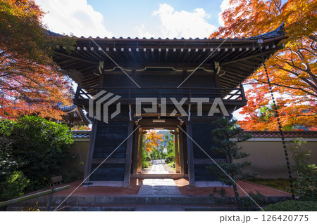 京都 源光庵の山門と紅葉 京都 源光庵の山門と紅葉 126420775