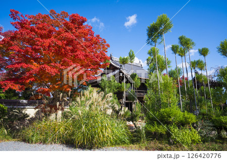 京都　源光庵の山門と紅葉 126420776
