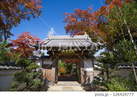 京都　源光庵の山門と紅葉 126420777