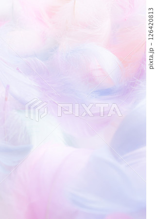 フワフワの羽パステルカラーの背景素材 フワフワの羽パステルカラーの背景素材 126420813