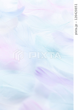 ふわふわの羽背景素材 喪中はがき背景 ふわふわの羽背景素材 喪中はがき背景 126420851