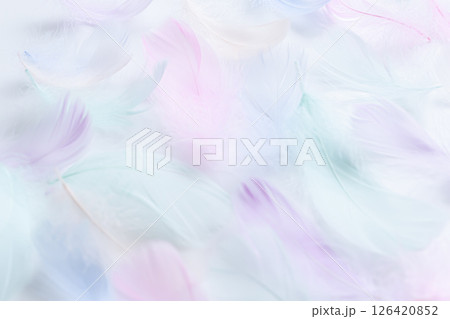 ふわふわの羽背景素材　喪中はがき背景 126420852