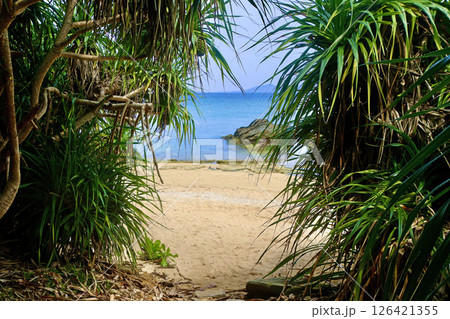 喜瀬ビーチ・きせビーチ（沖縄県・名護市） 126421355