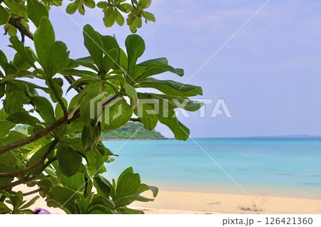 喜瀬ビーチ・きせビーチ（沖縄県・名護市） 126421360