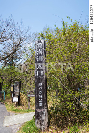 初夏の赤城山　覚満淵周辺の散策道 126421577