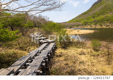 初夏の赤城山　覚満淵周遊路 126421787
