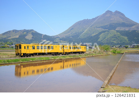 水田に反射する黄色の列車（JR九州　キハ125形） 126421831