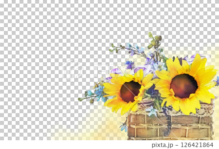 向日葵和飛燕草夏季透明框架 126421864