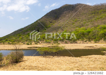 初夏の赤城山 覚満淵 初夏の赤城山 覚満淵 126421882