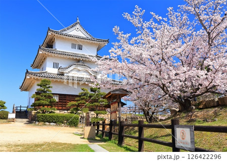 【香川県】桜咲く春の丸亀城（現存天守と石垣の名城） 126422296