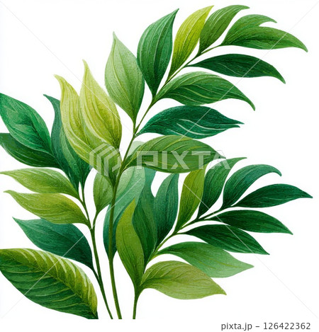 Lush Green Tropical Leaves Watercolor Painting Lush Green Tropical Leaves Watercolor Painting 126422362