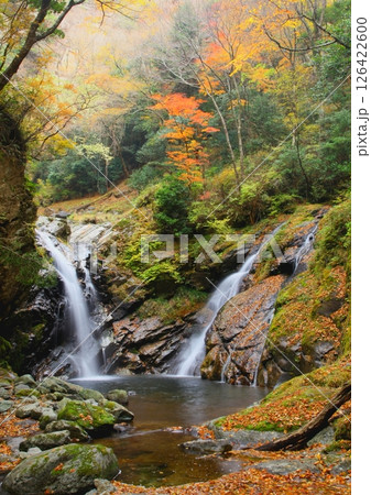 秋の竜ヶ岩の滝（宮崎県高千穂町・縦構図） 126422600