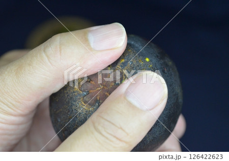 マンゴスチン　食べ方　タイ産　1 126422623