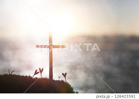 A heart-shaped plant symbolizing the cross and love of Jesus Christ, with a bright, sparkling sun and a beautiful sea background. A heart-shaped plant symbolizing the cross and love of Jesus Christ, with a bright, sparkling sun and a beautiful sea background. 126423591