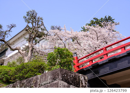赤い橋と城郭 126423799