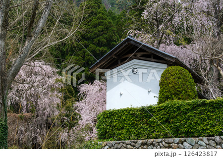 長妙寺の土蔵 長妙寺の土蔵 126423817
