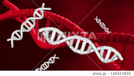 Image of dna strands spinning over red background Image of dna strands spinning over red background 126423928