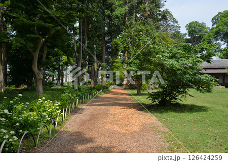 旧岩崎家末廣別邸公園、千葉県富里市 126424259
