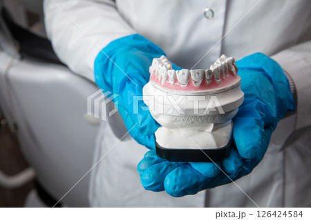 Dentist holding anatomical dental model in gloves 126424584