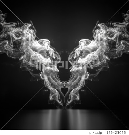 Abstract White Smoke Wings on Black Background 126425056