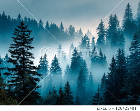 Blue Foggy Forest Mountain Landscape 126425481