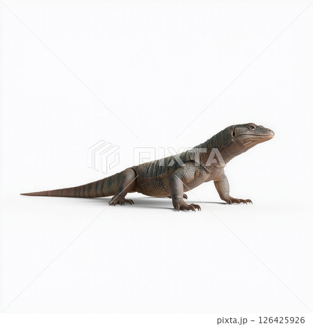 Standing Monitor Lizard on White Background 126425926