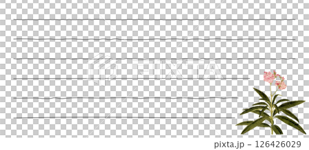 夾竹桃筆記材料 126426029