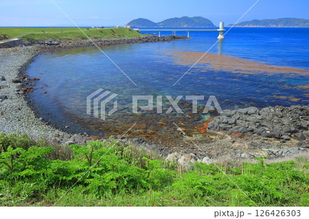 【佐賀県】晴天の波戸岬 【佐賀県】晴天の波戸岬 126426303