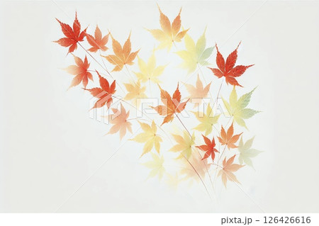 紅葉・もみじ・秋イメージ 126426616