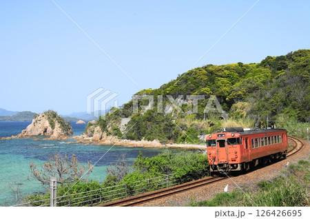 コバルトブルーと新緑に囲まれて快走するタラコ 126426695