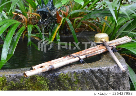 姫の井戸（武田神社 境内／山梨県甲府市古府中町） 126427988