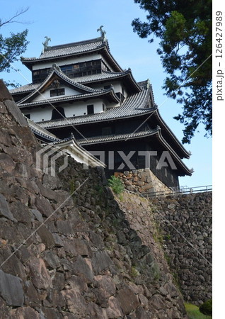 松江城の天守閣(島根県松江市殿町1-5) 松江城の天守閣(島根県松江市殿町1-5) 126427989