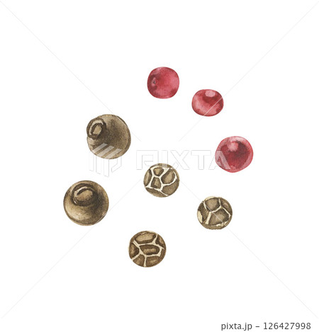 Watercolor illustration of assorted peppercorns. Black, white, and pink. Hand-painted spice mix perfect for culinary, kitchen, food, herb, seasoning, and gourmet design projects. For design packaging 126427998