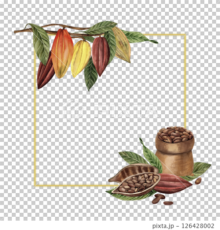 A square frame with cocoa beans, whole, cut, with a bag of beans. The illustration with fruits, leaves of a chocolate tree, and sacking with seeds are hand-painted in watercolor in a botanical style. 126428002