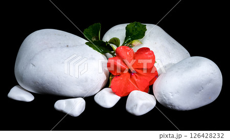 Red Impatiens Flower with White Stones on Black 126428232