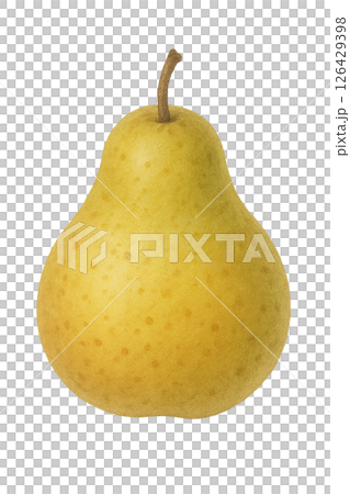 牛蒡插圖水彩畫 牛蒡插圖水彩畫 126429398