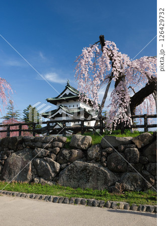 青空と桜と弘前城 青空と桜と弘前城 126429732