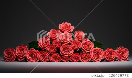 鮮やかなピンクのバラと背景はシックなダークトーン 126429778