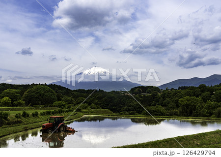 小山町竹之下の水田に映る富士山 小山町竹之下の水田に映る富士山 126429794