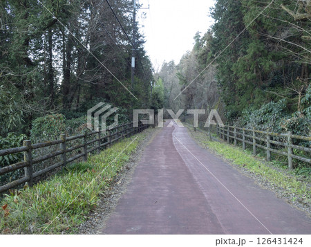東京郊外の道。歩行者専用道路。 126431424