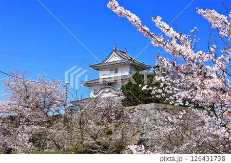 【香川県】桜咲く春の丸亀城（現存天守と石垣の名城） 126431738