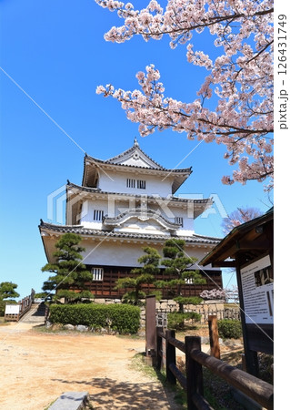 【香川県】桜咲く春の丸亀城（現存天守と石垣の名城） 126431749