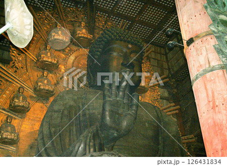 奈良公園 東大寺 大仏 鹿 奈良公園 東大寺 大仏 鹿 126431834