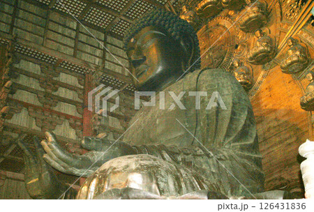 奈良公園　東大寺　大仏　鹿 126431836