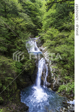 新緑の西沢渓谷七ツ釜五段の滝 126432087