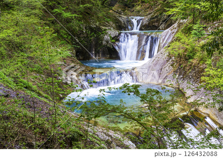 新緑の西沢渓谷七ツ釜五段の滝 126432088