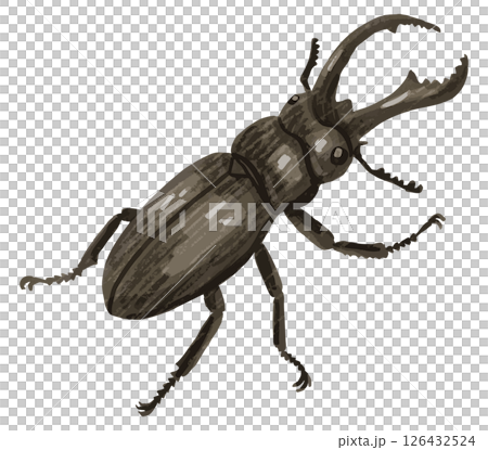 手繪向量圖的雄鹿甲蟲 126432524