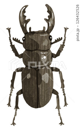 手描きのクワガタのベクターイラスト 手描きのクワガタのベクターイラスト 126432526