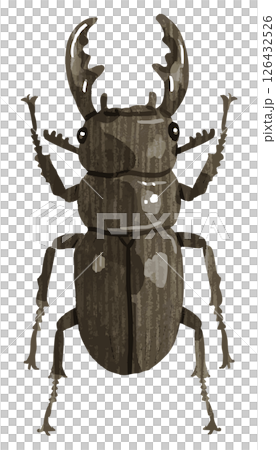 手描きのクワガタのベクターイラスト 手描きのクワガタのベクターイラスト 126432526